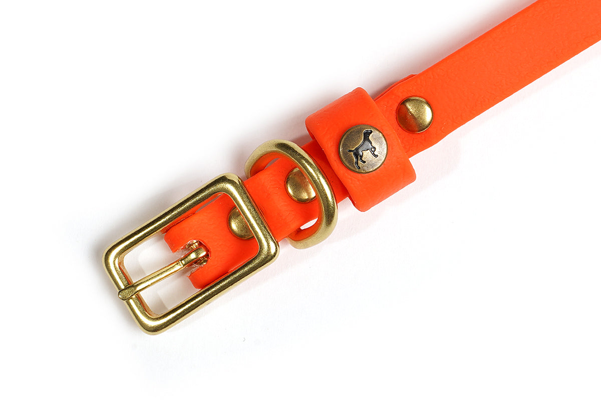 Waterproof Puppy Collar - Blaze Orange – Pointer Traditions