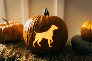 Pointer Dog Pumpkin Carving - Free Stencil!