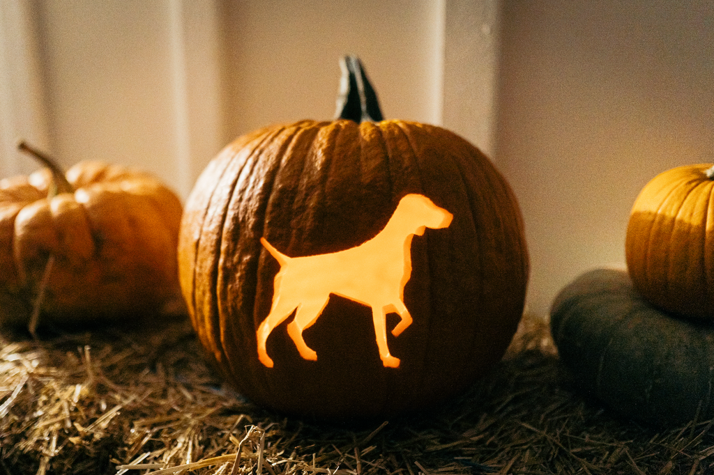 Browning Pumpkin Stencil