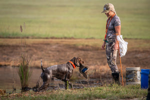 10 Activities To Do with Your German Shorthaired Pointer