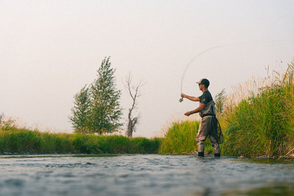 Trout Pattern Collection