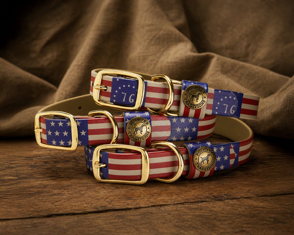 American Flag Collection