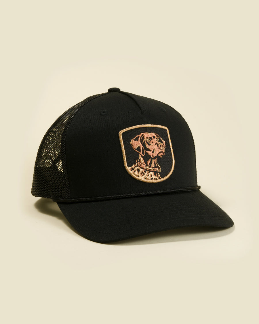 Bird Dog Profile Patch Hat - Midnight Black