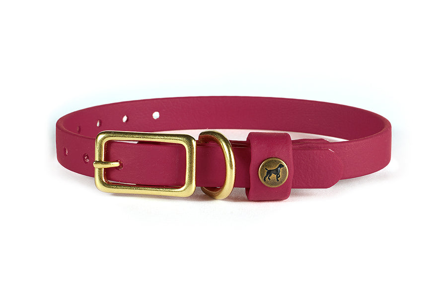 Sporting Puppy Collar - Wine