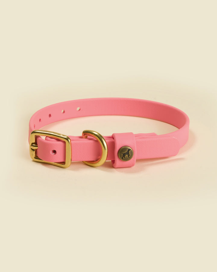 Sporting Puppy Collar - Coral