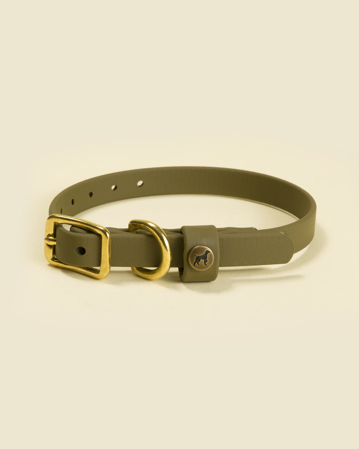 Sporting Puppy Collar - Ranger Green