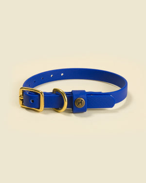 Sporting Puppy Collar - River Blue