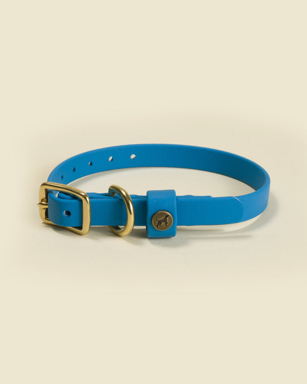 Sporting Puppy Collar - Sky Blue