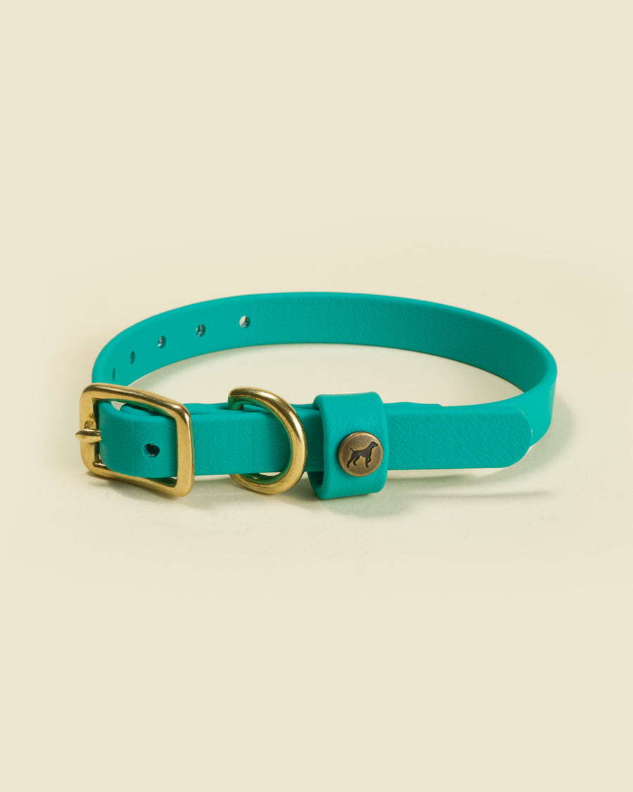 Sporting Puppy Collar - Teal