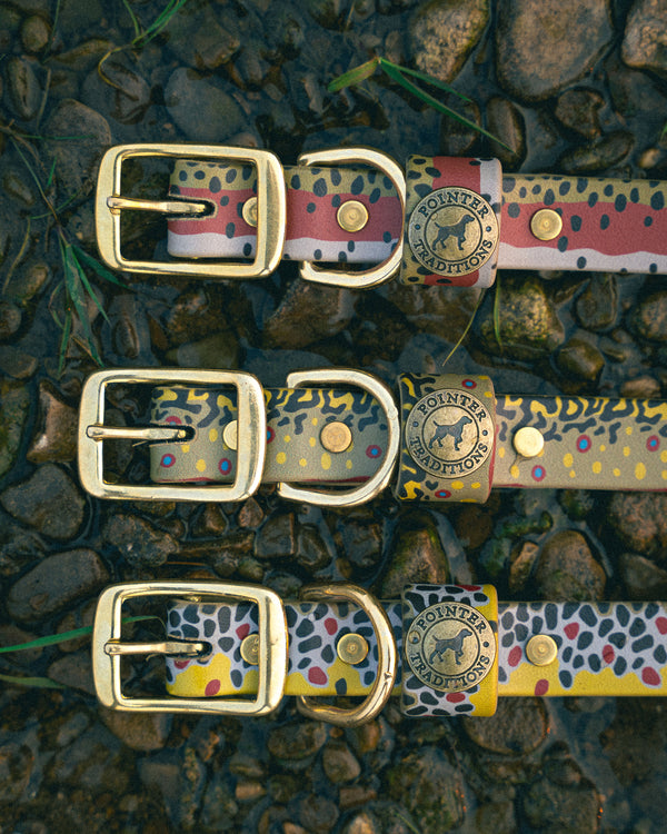 Sporting Dog Collar - Brook Trout