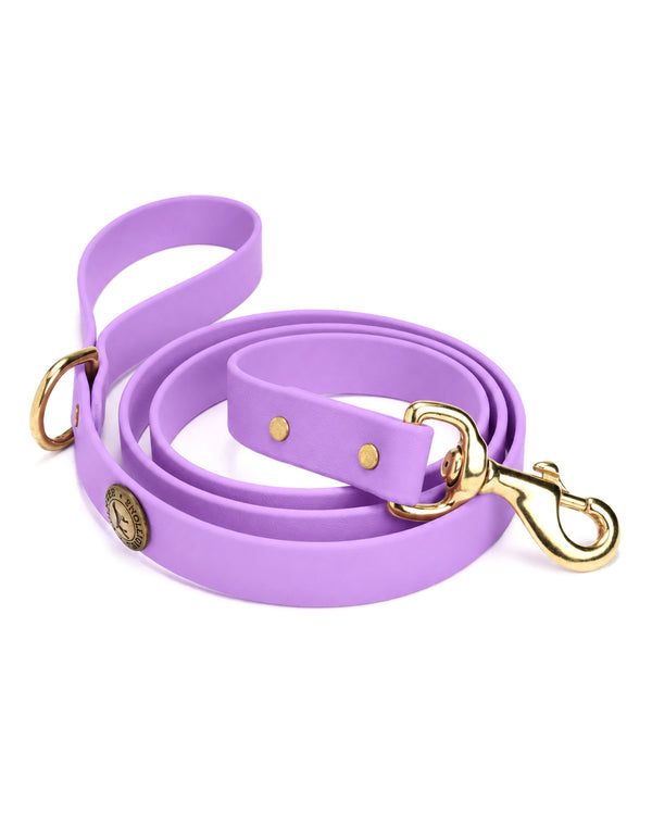 Sporting Dog Leash - Lavender