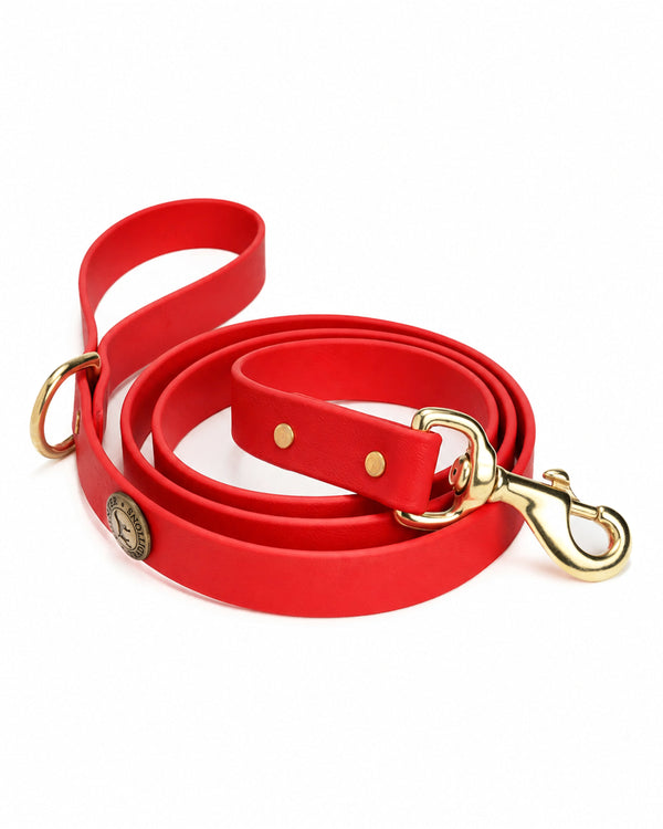Sporting Dog Leash - Red