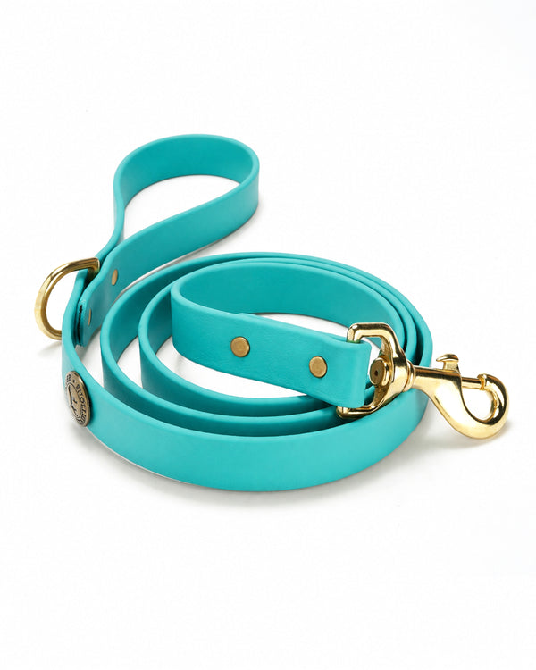 Sporting Dog Leash - Teal
