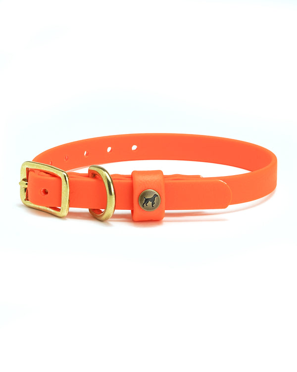 Sporting Puppy Collar - Blaze Orange