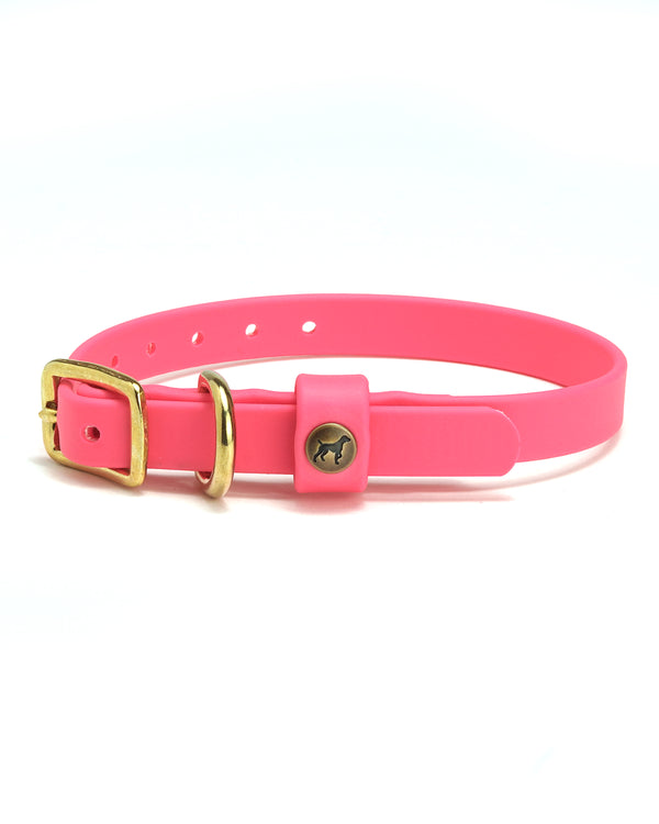 Sporting Puppy Collar - Blaze Pink