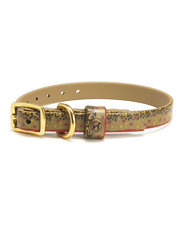 Sporting Puppy Collar - Brook Trout
