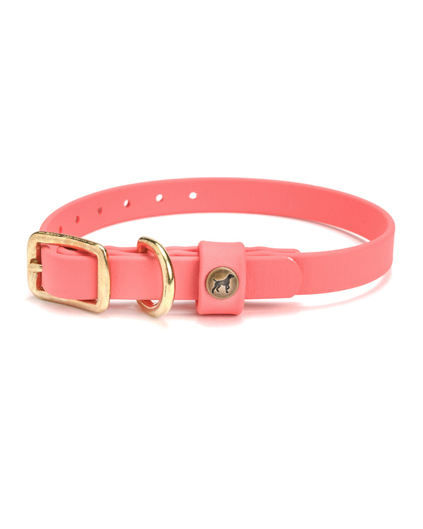 Sporting Puppy Collar - Coral