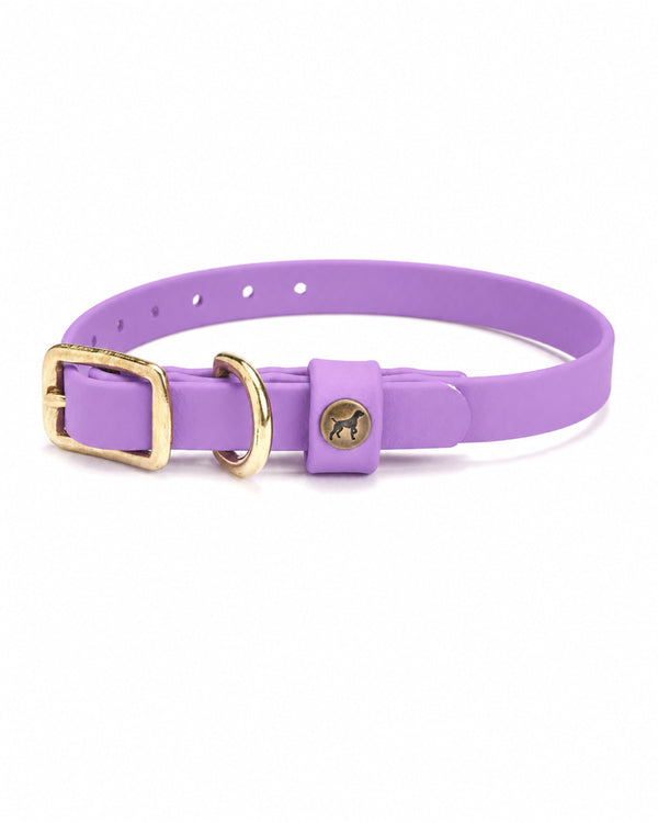 Sporting Puppy Collar - Lavender