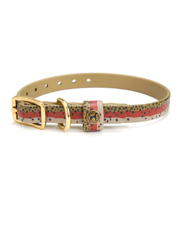Sporting Puppy Collar - Rainbow Trout