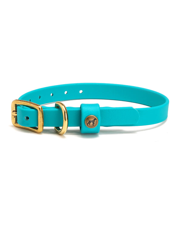Sporting Puppy Collar - Teal