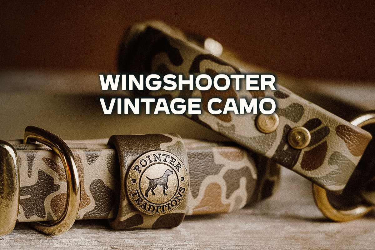Pointer Traditions | Dedicated To The Bird Dog Lifestyle
