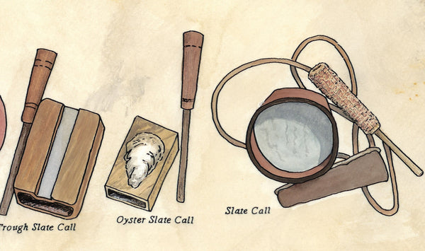 Wild Turkeys of North America