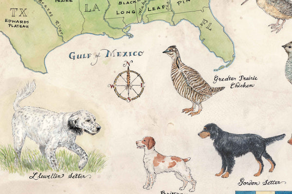 Upland Game Birds of the United States and select pointing dog breeds