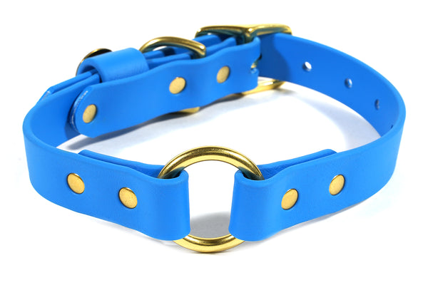 Hunting Dog Center Ring Collar - Sky Blue