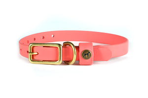 Sporting Puppy Collar - Coral