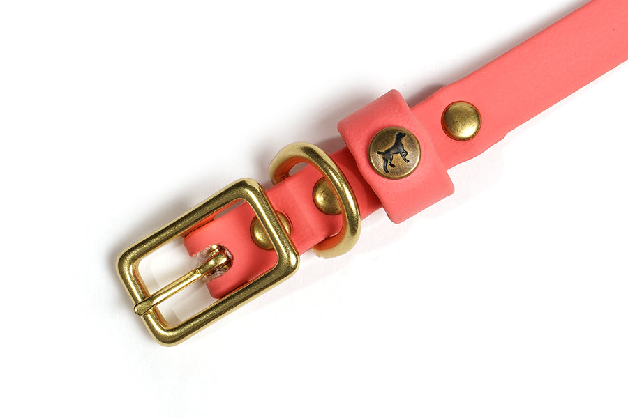 Sporting Puppy Collar - Coral