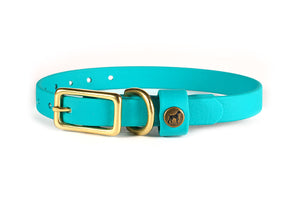 Sporting Puppy Collar - Teal