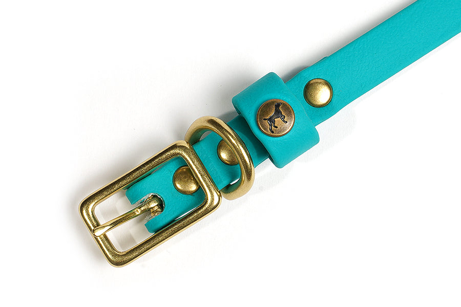 Sporting Puppy Collar - Teal
