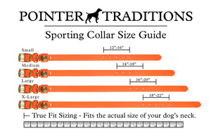 Sporting Dog Collar - Leather Brown