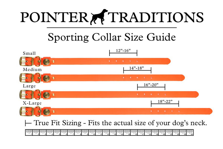 Sporting Dog Collar - Blaze Orange