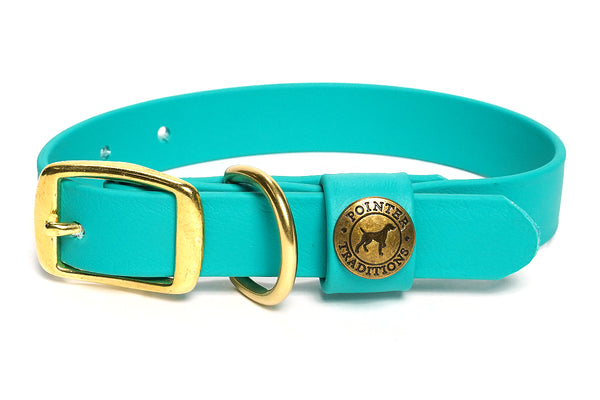 Sporting Dog Collar - Teal