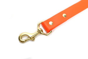 Sporting Dog Leash - Blaze Orange