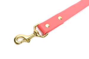 Sporting Dog Leash - Coral