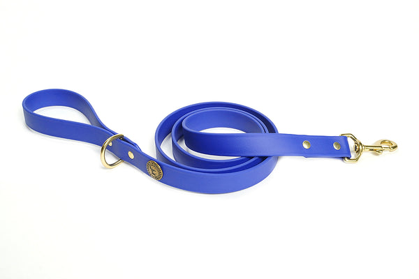 Sporting Dog Leash - River Blue