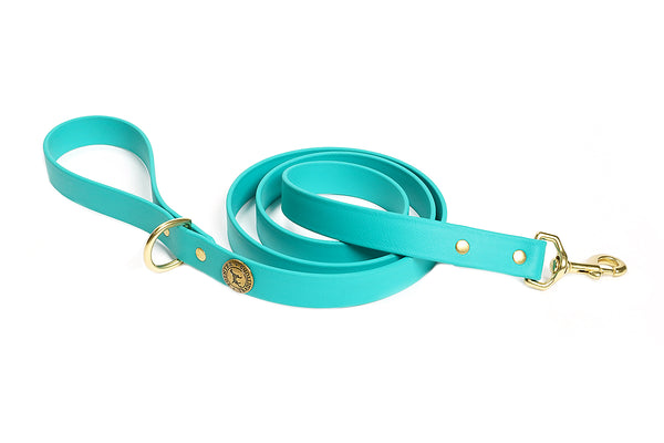 Sporting Dog Leash - Teal