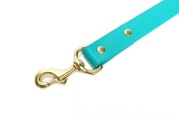 Sporting Dog Leash - Teal