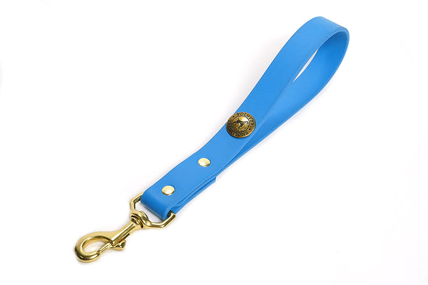 Sporting Dog Training Tab - Sky Blue