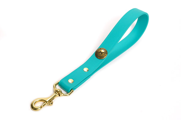 Sporting Dog Training Tab - Teal